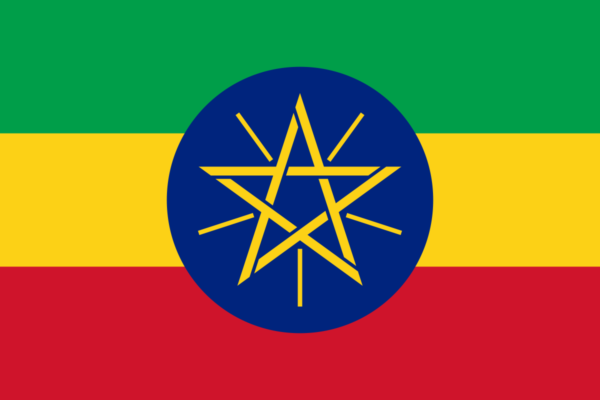 Steag Ethiopia