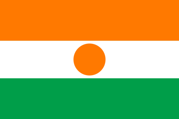 Steag Niger 1