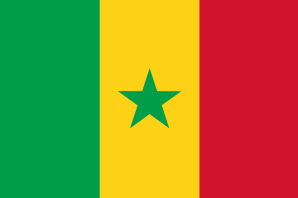 Steag Senegal